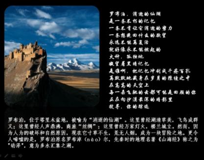 张店区祥瑞园小学：测试无纸笔 闯关有趣味